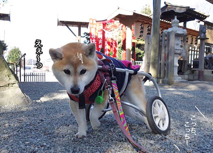 4日午後ブログ４