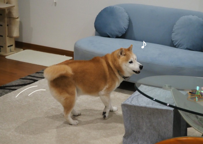 15日夕ブログ6