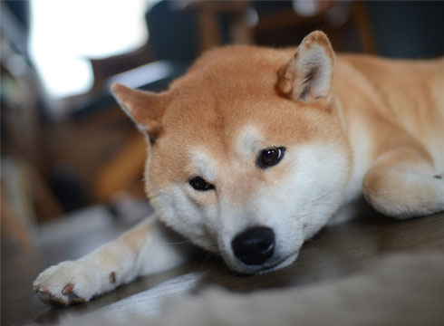 27日ブログ9.jpg