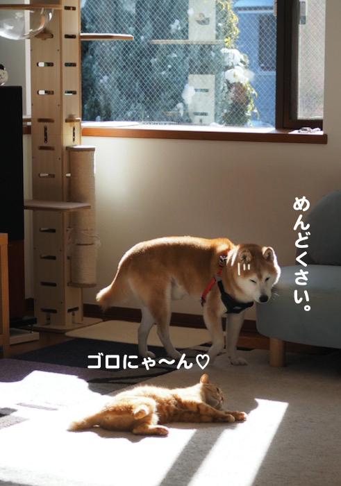 10日夕ブログ３