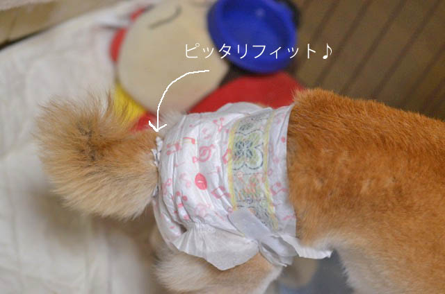 13日ブログ8