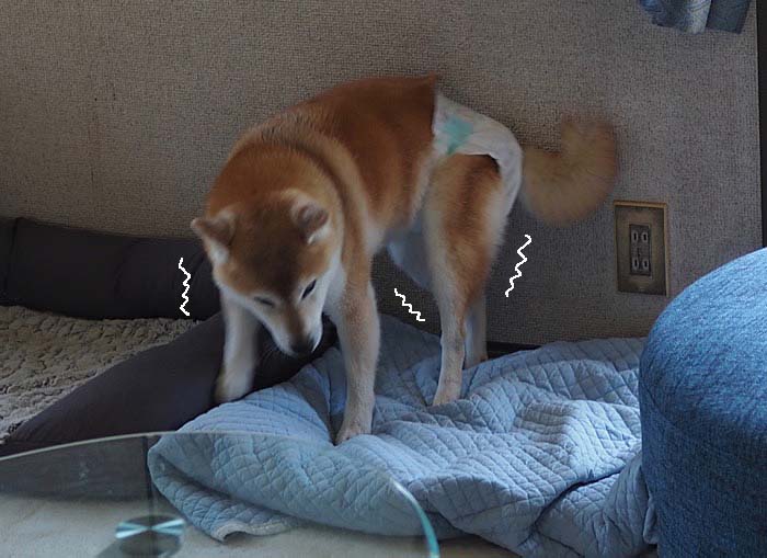 21日午前ブログ3