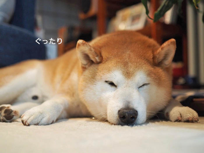 22日夜ブログ２
