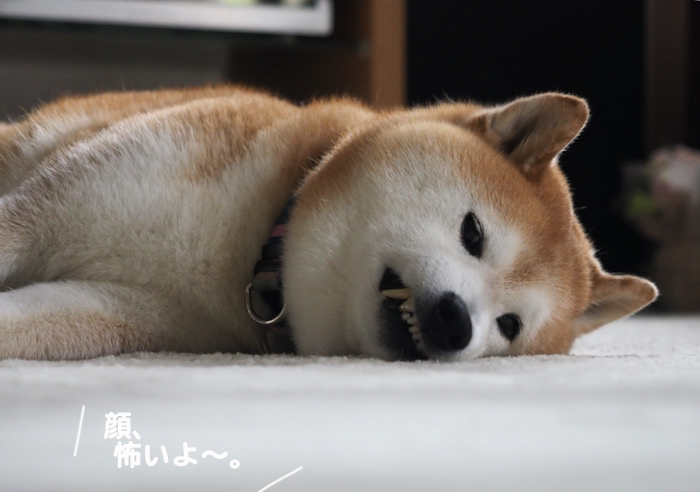 18日ブログ２