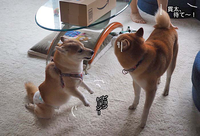 5日ブログ３