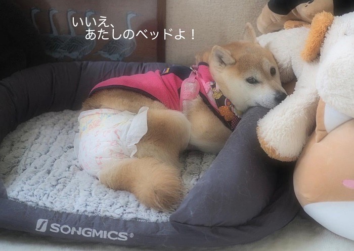2日夜ブログ２