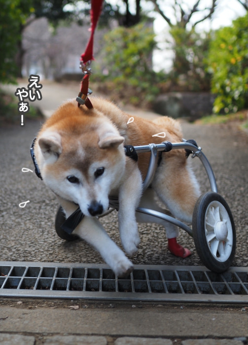 31日ブログ６