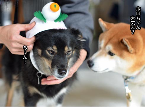 3日ブログ7.jpg
