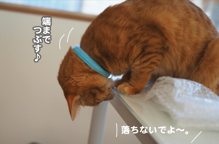 18日夕ブログ５