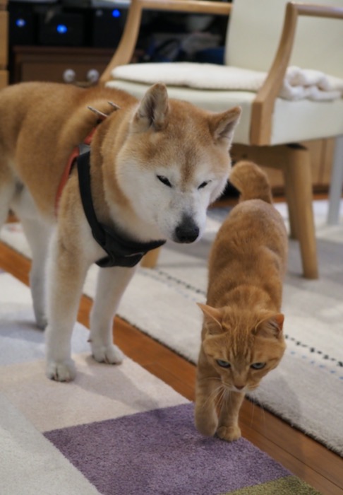 23日夕ブログ５