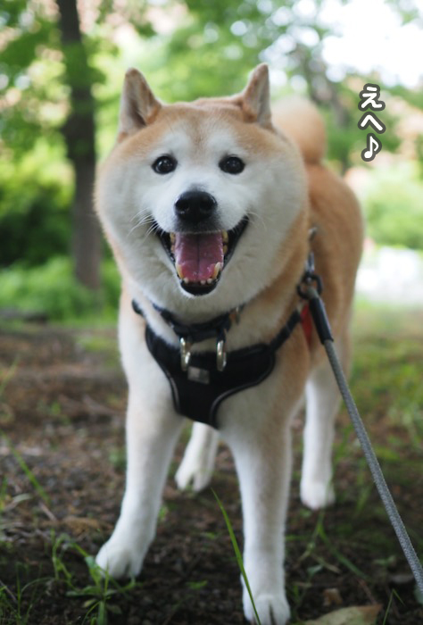 6日ブログ６