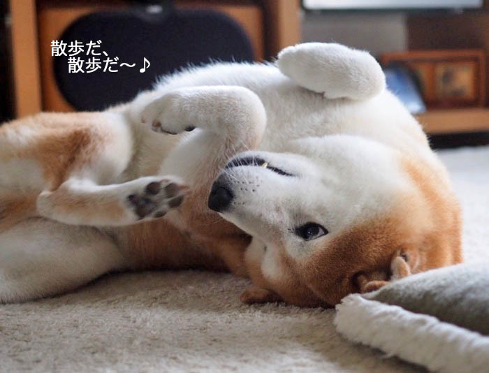 9日夜ブログ６