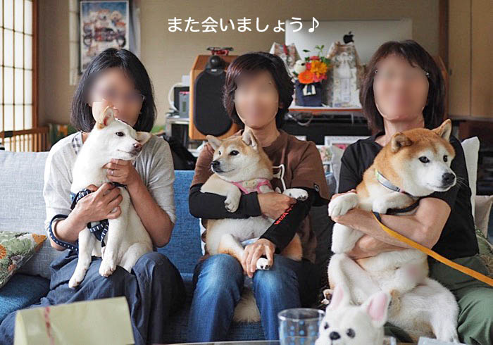 5日ブログ13