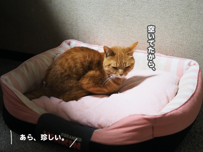 7日ブログ２