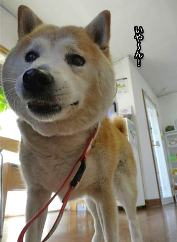 8日ブログ3.jpg