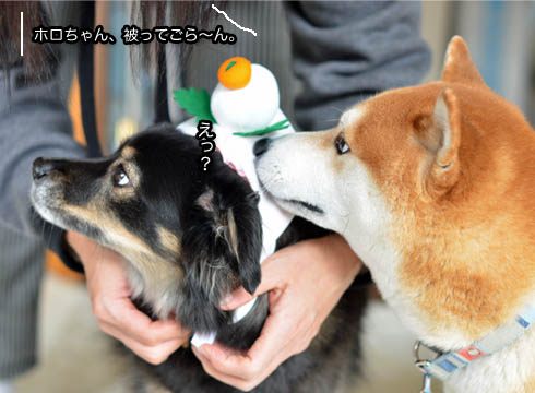 3日ブログ6.jpg