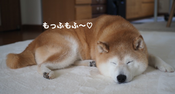6日ブログ７