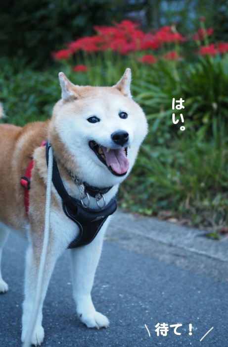 1日ブログ２