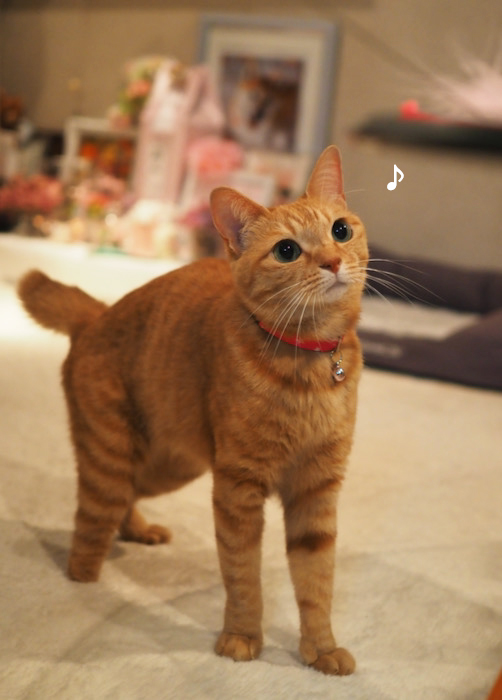 27日夕ブログ４