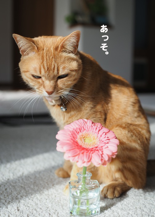 21日ブログ２