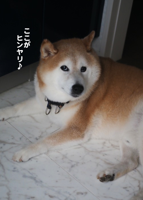 1日のブログ２