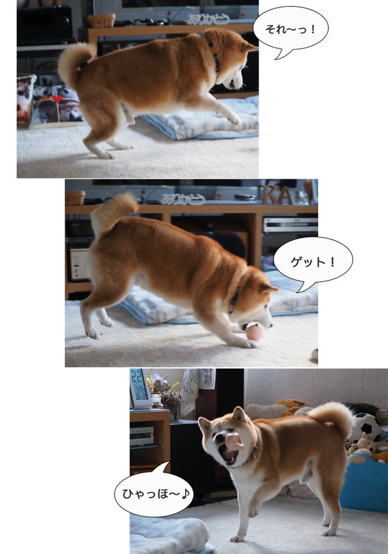 22日夜ブログ６