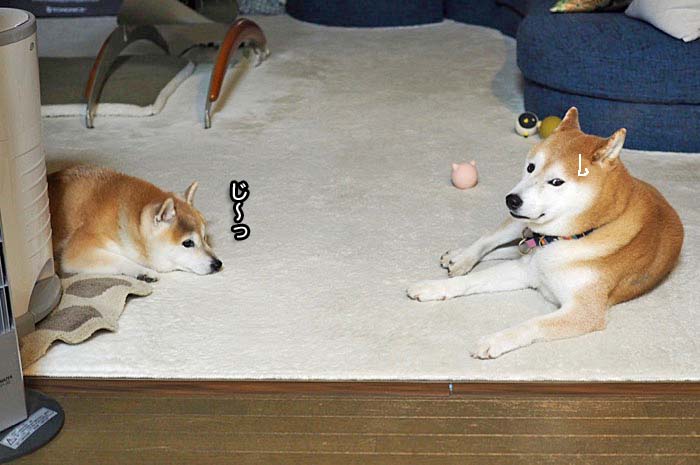 14日ブログ３