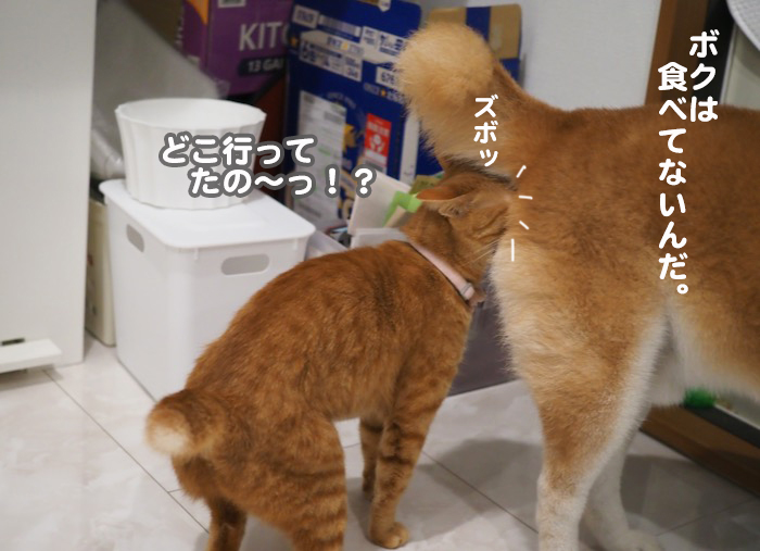 6日ブログ４