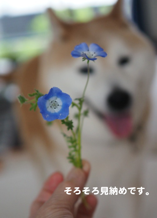25日夕ブログ5