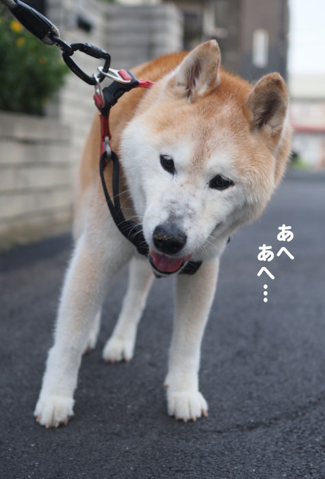 18日夕ブログ２