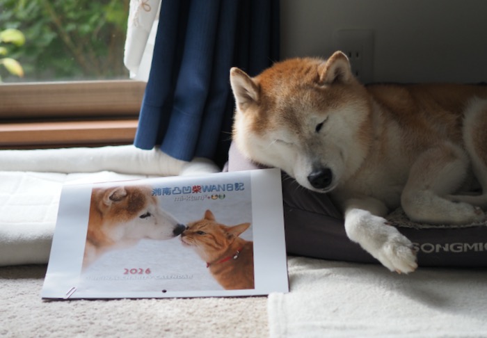 27日夕ブログ7