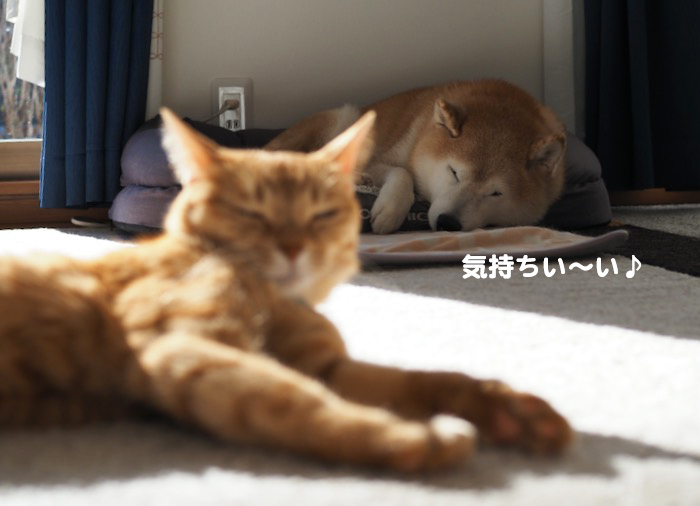 13日ブログ２