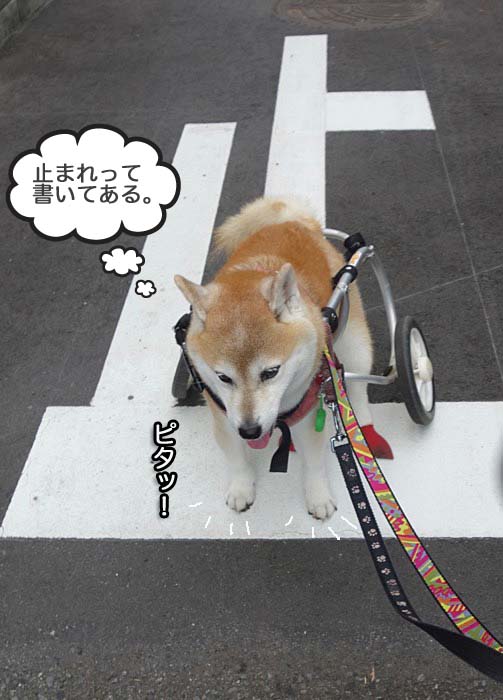 28日ブログ１