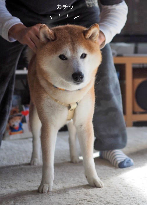 27日ブログ５