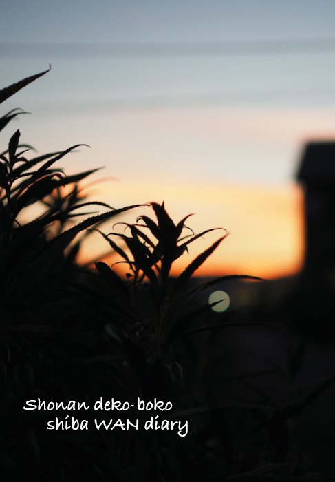 4日夕ブログ１