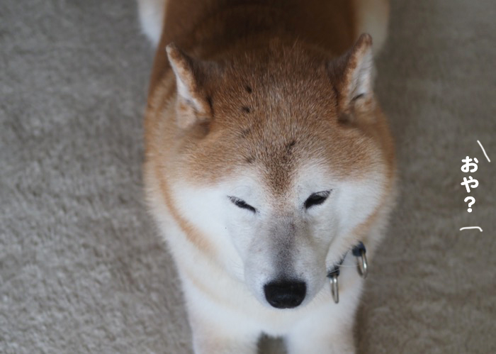17日ブログ３