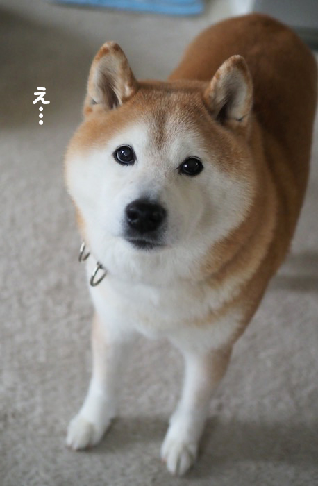 7日夕ブログ２