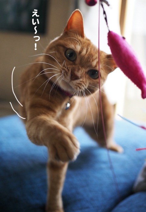 12日夕ブログ６