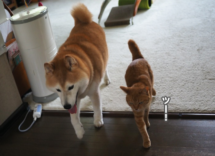 21日ブログ２