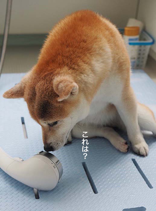 2日ブログ３
