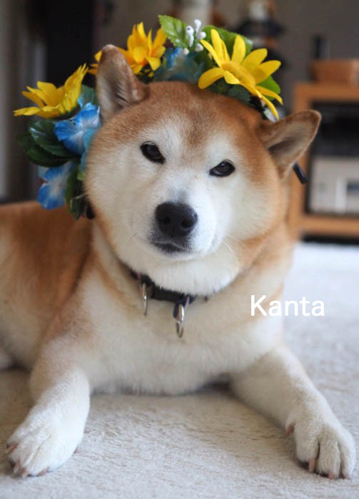 2日ブログ２