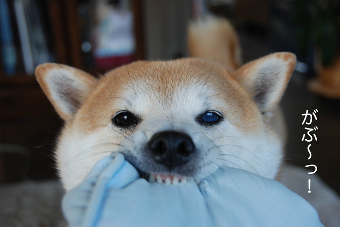 20日ブログ３