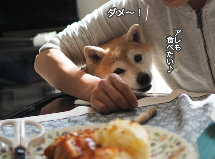 16日夜ブログ８