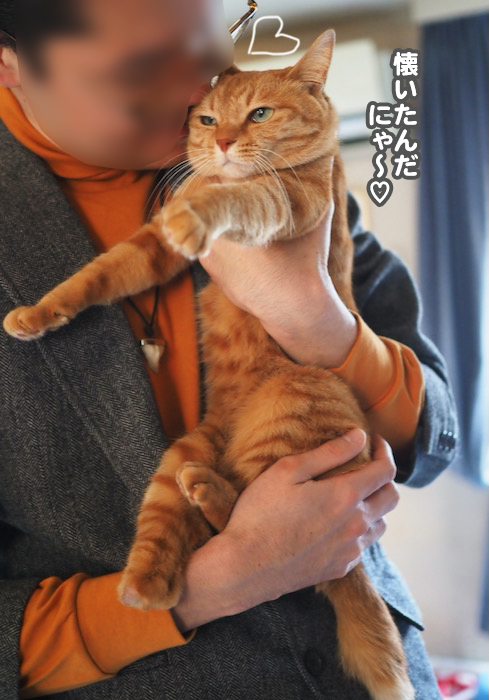 27日夕ブログ１５
