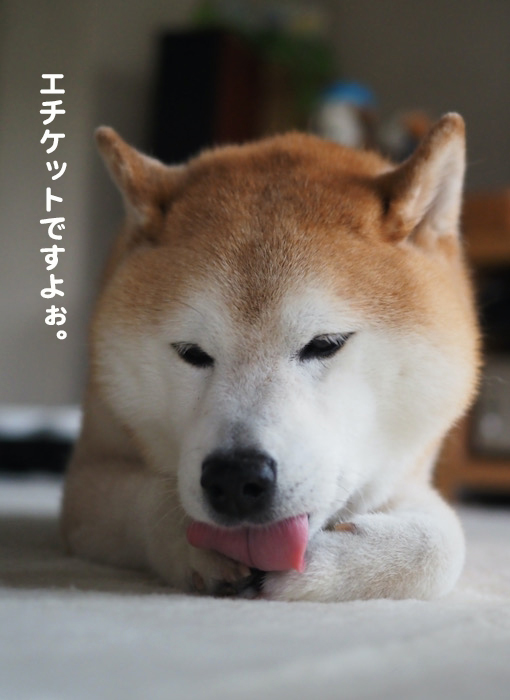 26日夜ブログ5