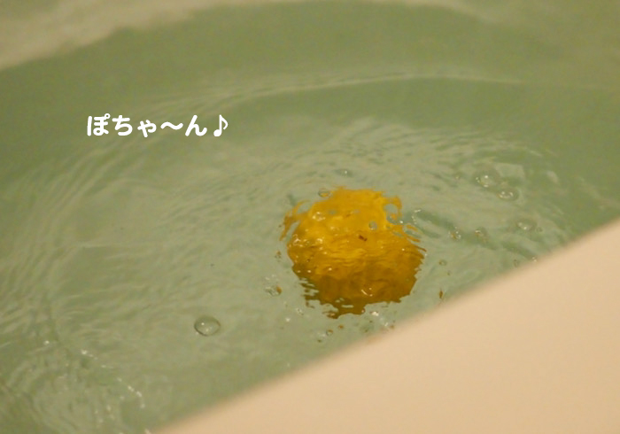 22日夕ブログ３