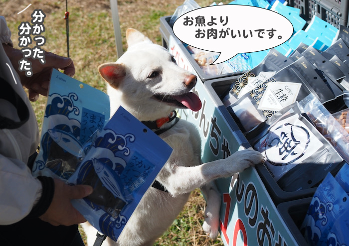 29日夕ブログ４