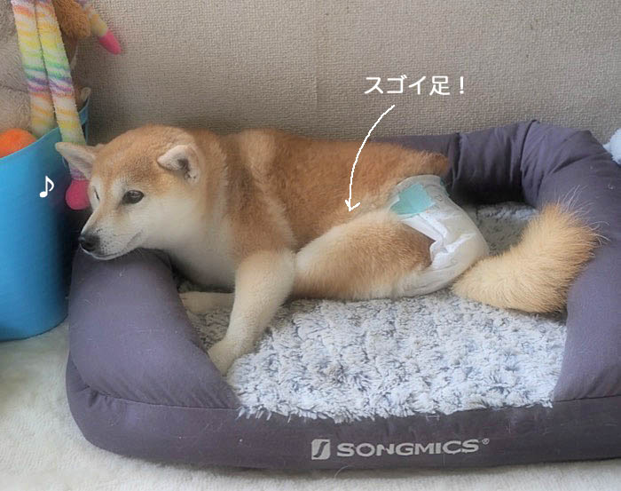 2日夜ブログ１