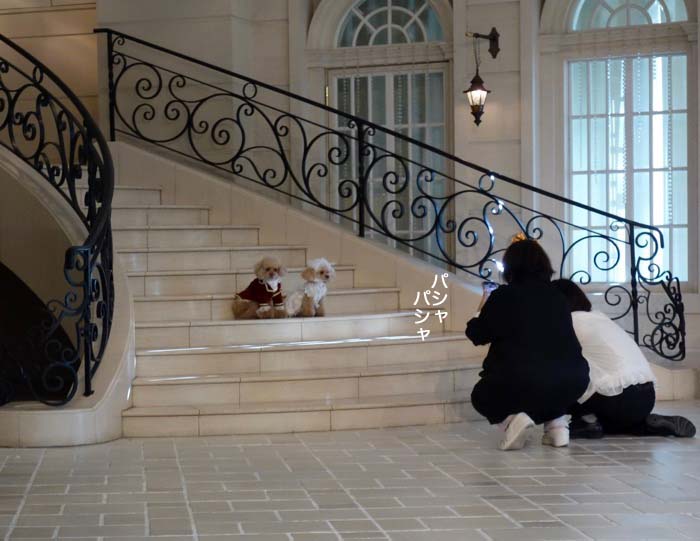 26日午後ブログ8