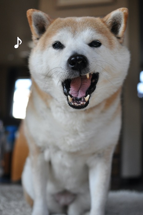 1日夕ブログ７